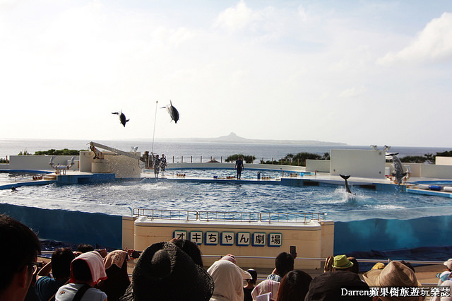 沖繩景點,沖繩自由行,日本自由行,日本自駕,海洋博公園,海洋水族館,親子景點