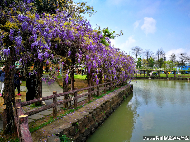 龜山大湖公園紫藤花