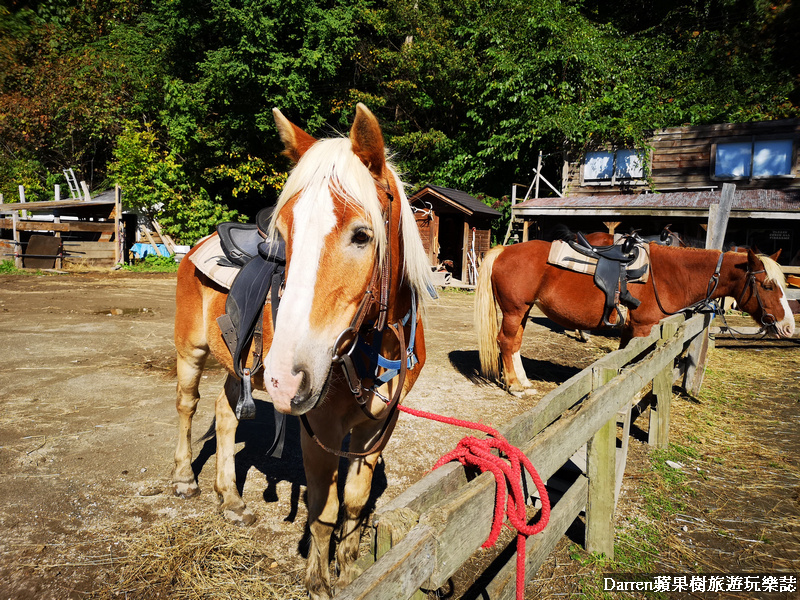 日本騎馬體驗,北海道騎馬,札幌騎馬,日本北海道