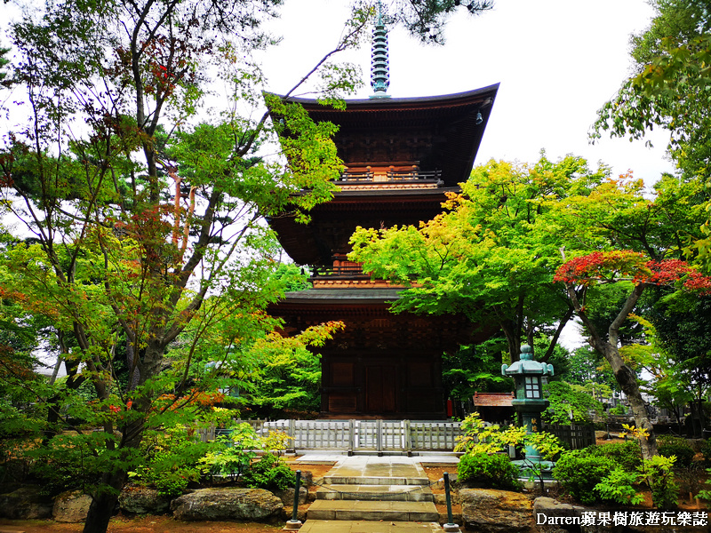 豪德寺一日遊,豪德寺地鐵,豪德寺招財貓,招福貓,東京買招財貓,日本招財貓