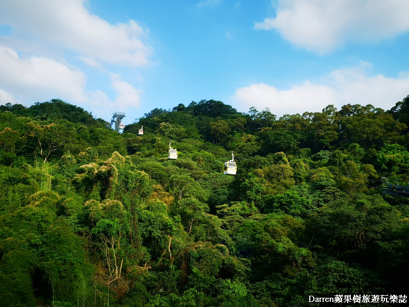 阿義師的大茶壺茶餐廳,木柵貓空美食