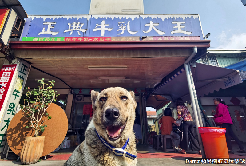 南投美食|正典牛乳大王餅乾三明治冰磚(中興新村美食)IG打卡排隊美食