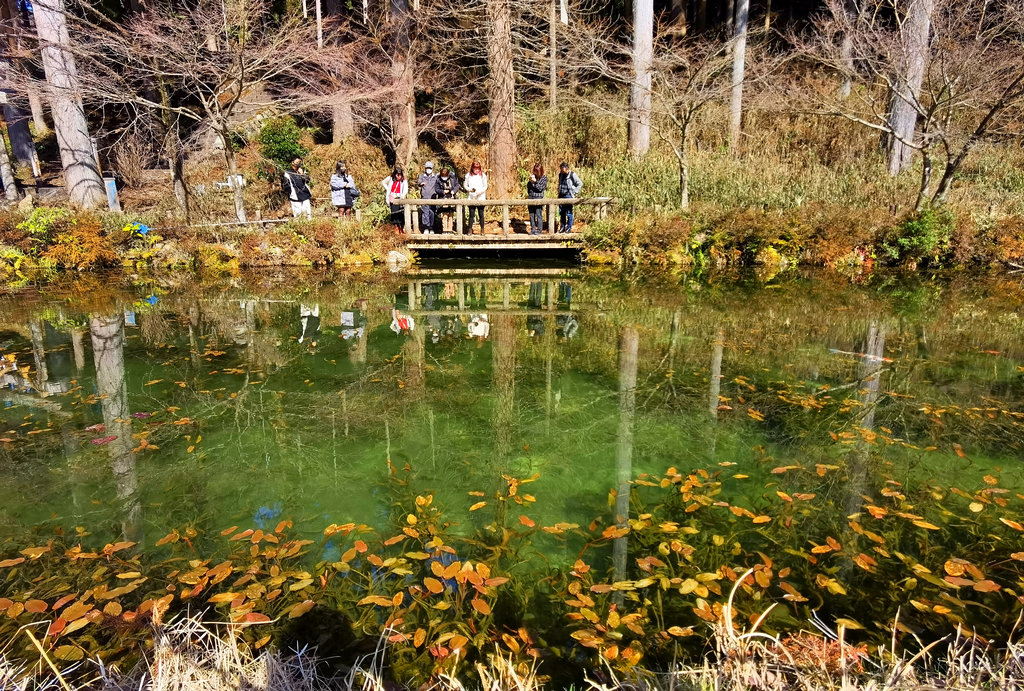 岐阜景點自由行,日本自駕遊,名古屋自駕行程,名古屋自駕遊,日本自駕,名古屋室內景點,名古屋親子景點,岐阜自由行,岐阜行程,岐阜縣景點,名古屋行程,岐阜縣旅遊,名古屋自駕,名古屋自由行,岐阜美食,岐阜旅遊,岐阜交通,岐阜一日遊