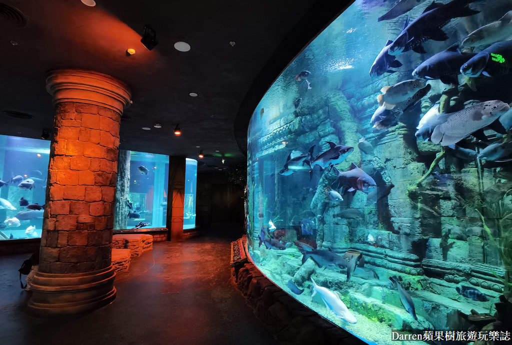 富國島景點,富國島攻略,富國島海龜水族館,富國島珍珠遊樂園,富國島必玩