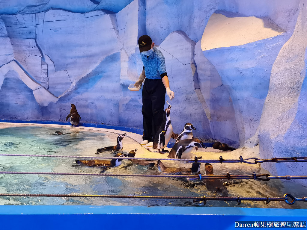 富國島景點,富國島攻略,富國島海龜水族館,富國島珍珠遊樂園,富國島必玩