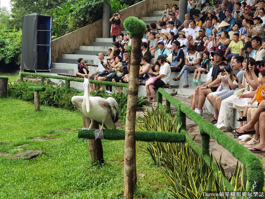 富國島動物園,富國島長頸鹿餐廳,富國島景點,富國島自由行,珍珠野生動物園,越南旅遊,富國島野生動物園