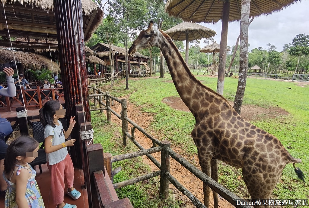 富國島動物園,富國島長頸鹿餐廳,富國島景點,富國島自由行,珍珠野生動物園,越南旅遊,富國島野生動物園