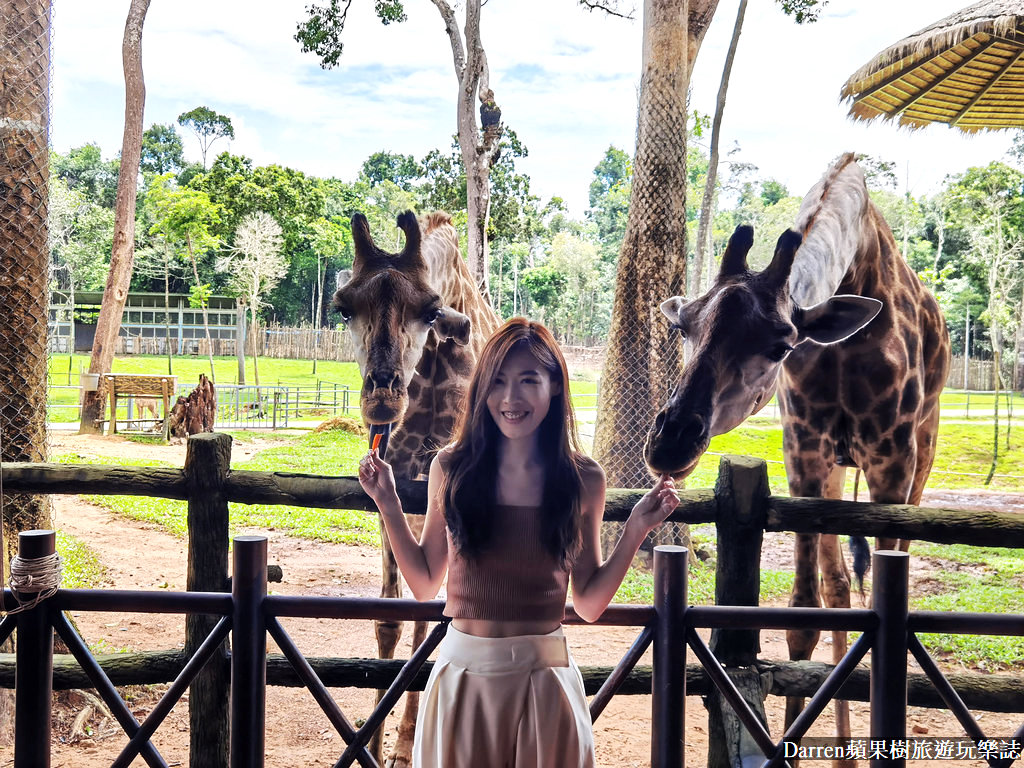 富國島動物園,富國島長頸鹿餐廳,富國島景點,富國島自由行,珍珠野生動物園,越南旅遊,富國島野生動物園