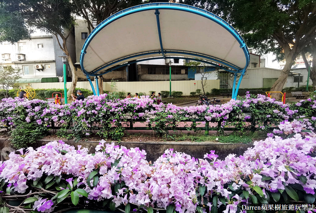 平鎮景點,桃園蒜香藤,蒜香藤景點,桃園賞花景點,平鎮蒜香藤,過嶺支渠休憩步道